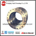 Professional High Quality Flange/Carbon Steel/Stainless Steel Flanges